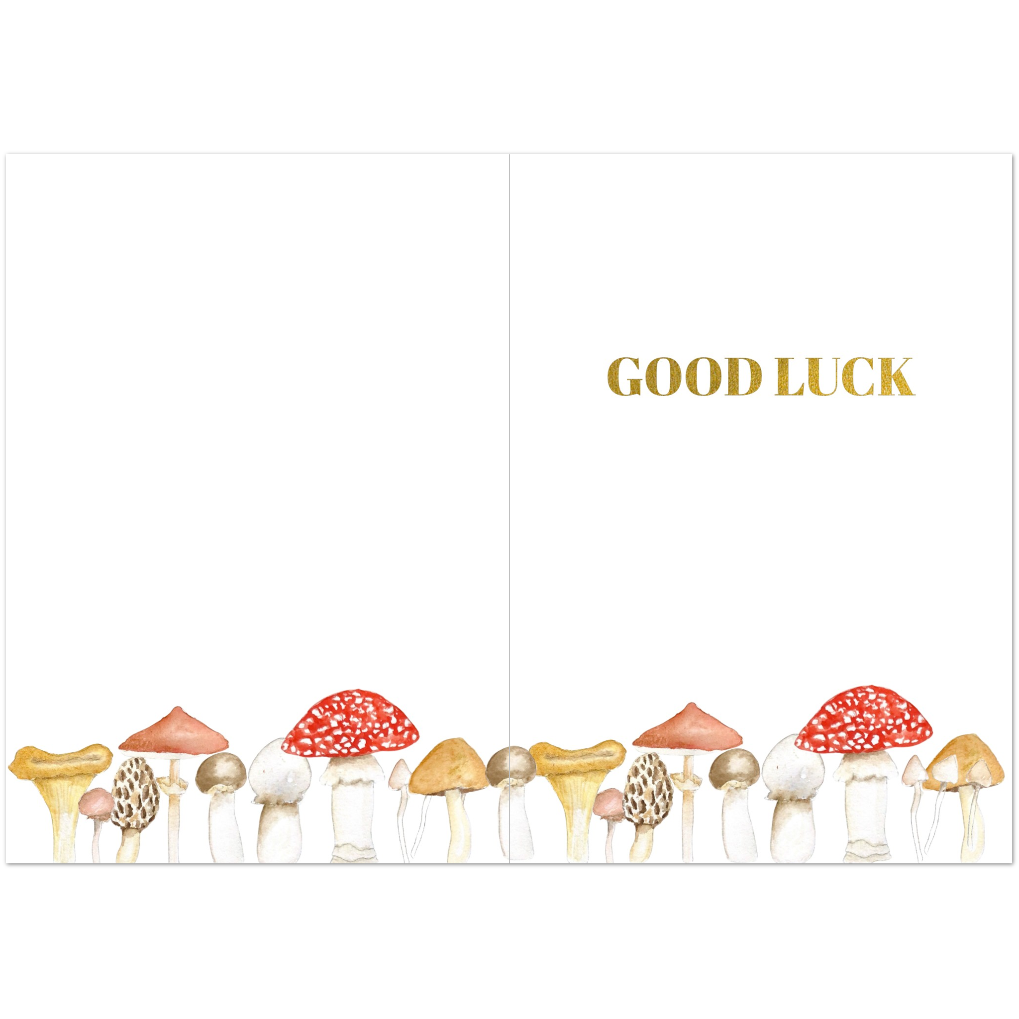 2a043c70-d95b-479f-9778-3d5e287a16bf