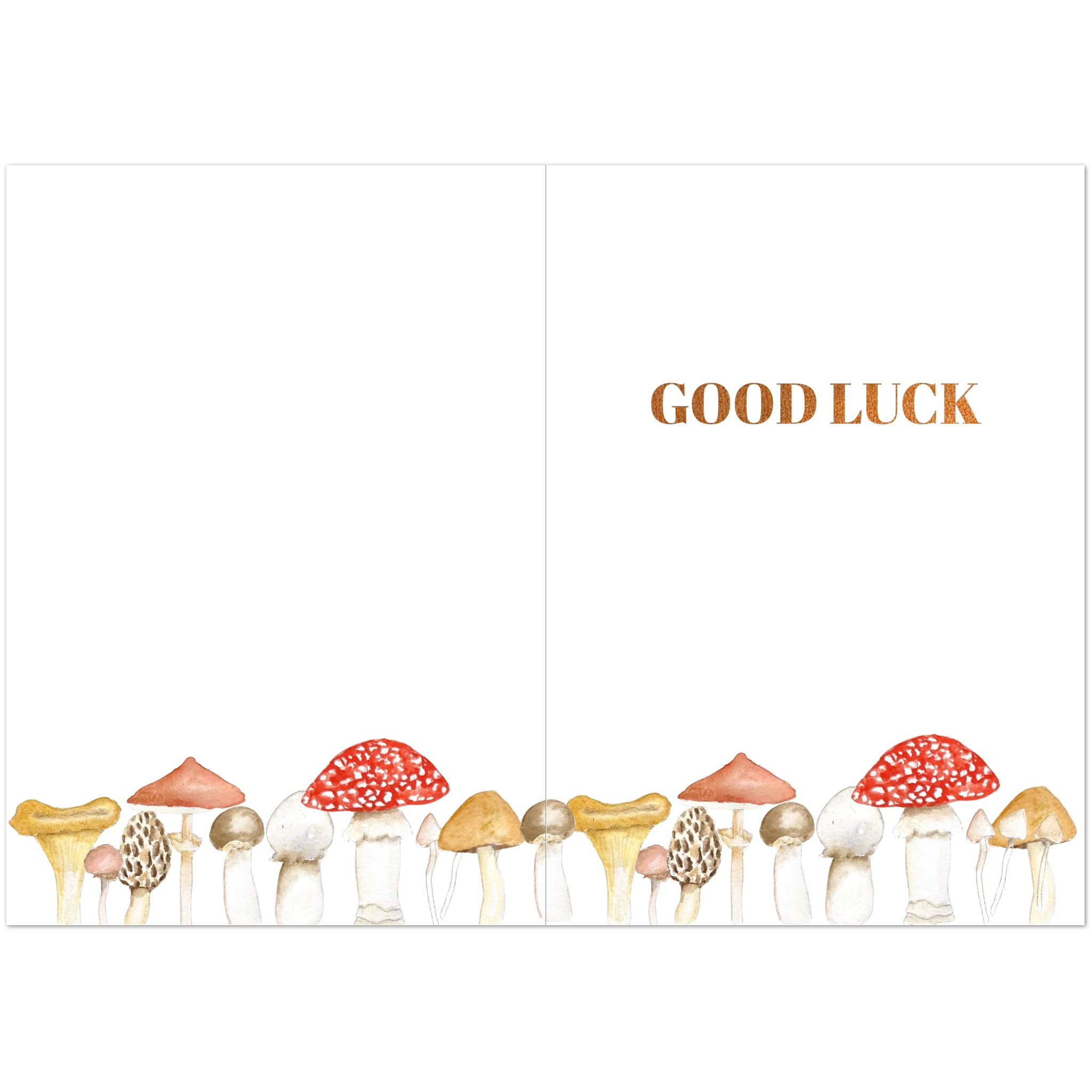 4df12e05-8cac-45c4-8a66-d009a1dd9cd1