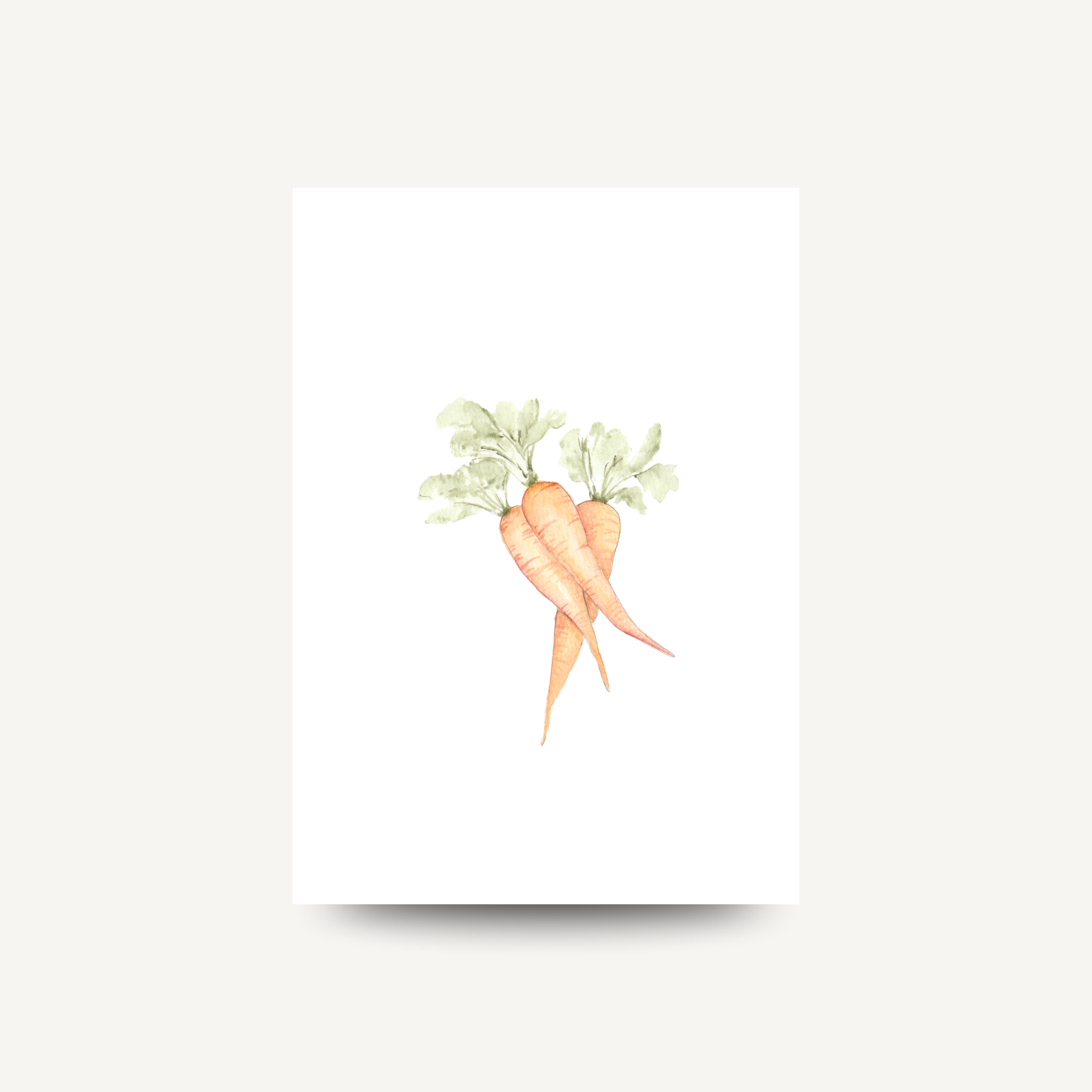 A bunch of carrots (Pack of 10)